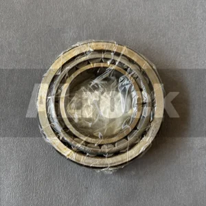 C0210003101 Bearing of Hydraulic Rock Drills